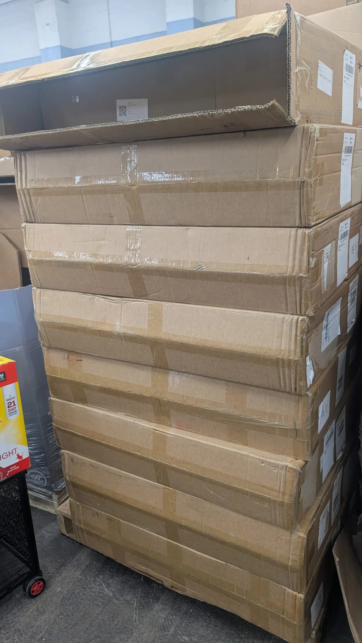 Small White Christmas Trees Pallet — full lot photo